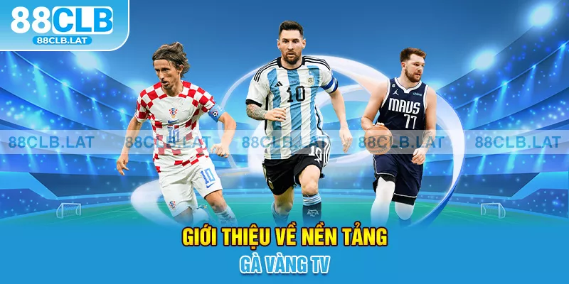 Giới thiệu về nền tảng Gà Vàng TV