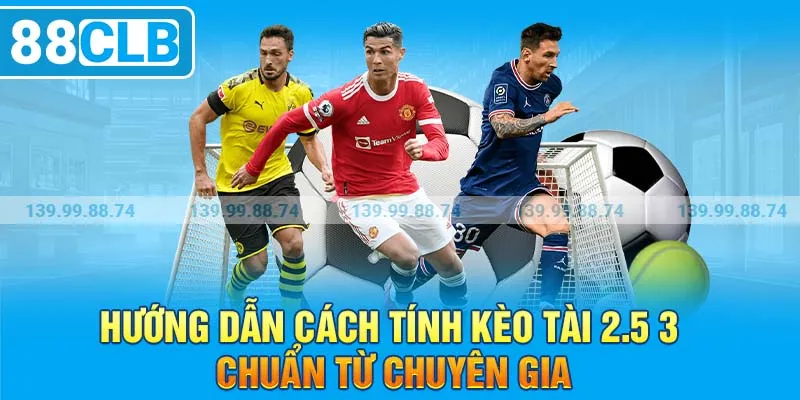 Hướng dẫn cách tính kèo tài 2.5 3 chuẩn từ chuyên gia